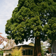 Illustration for article titled Photos from a recent weekend trip to Victoria